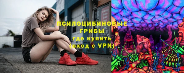 стаф Михайлов
