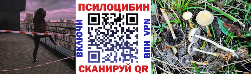 Галлюциногенные грибы MAGIC MUSHROOMS  Купить  Воронеж 